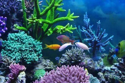 永定勒石|碑刻诉说潭柘寺悠悠往事