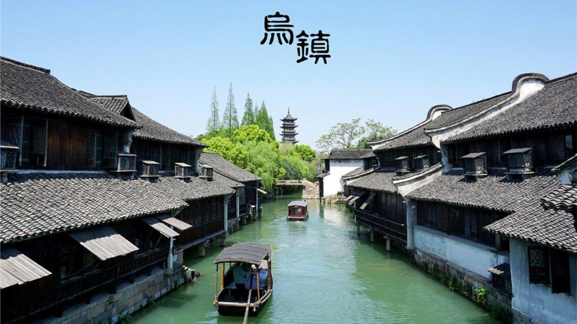 雨后盛放